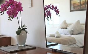 Dolphin Bay Studio With Sea Views